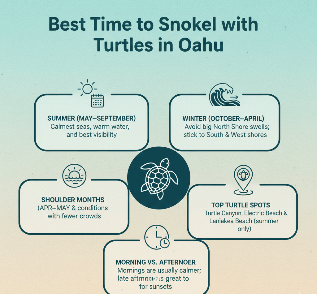 snorkel with turtles in Oahu