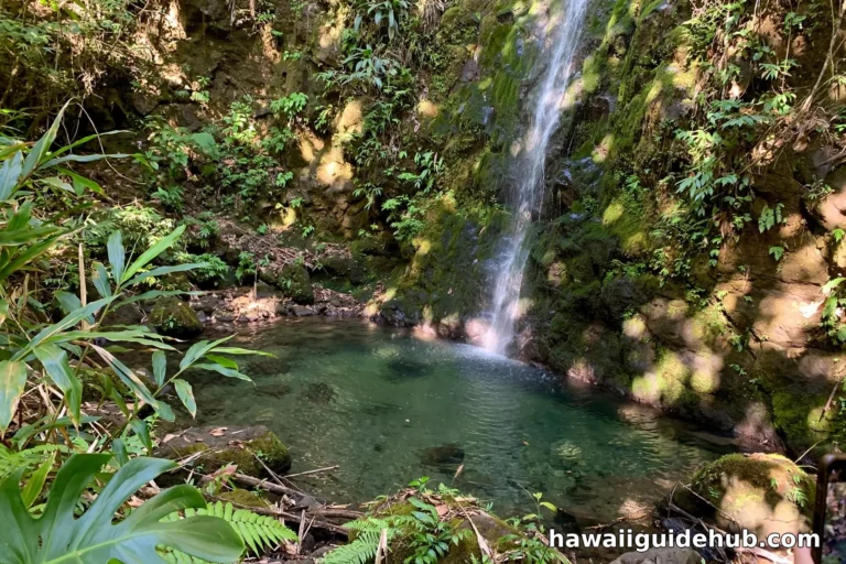 Haipuena Falls cascading into a clear pool on Maui