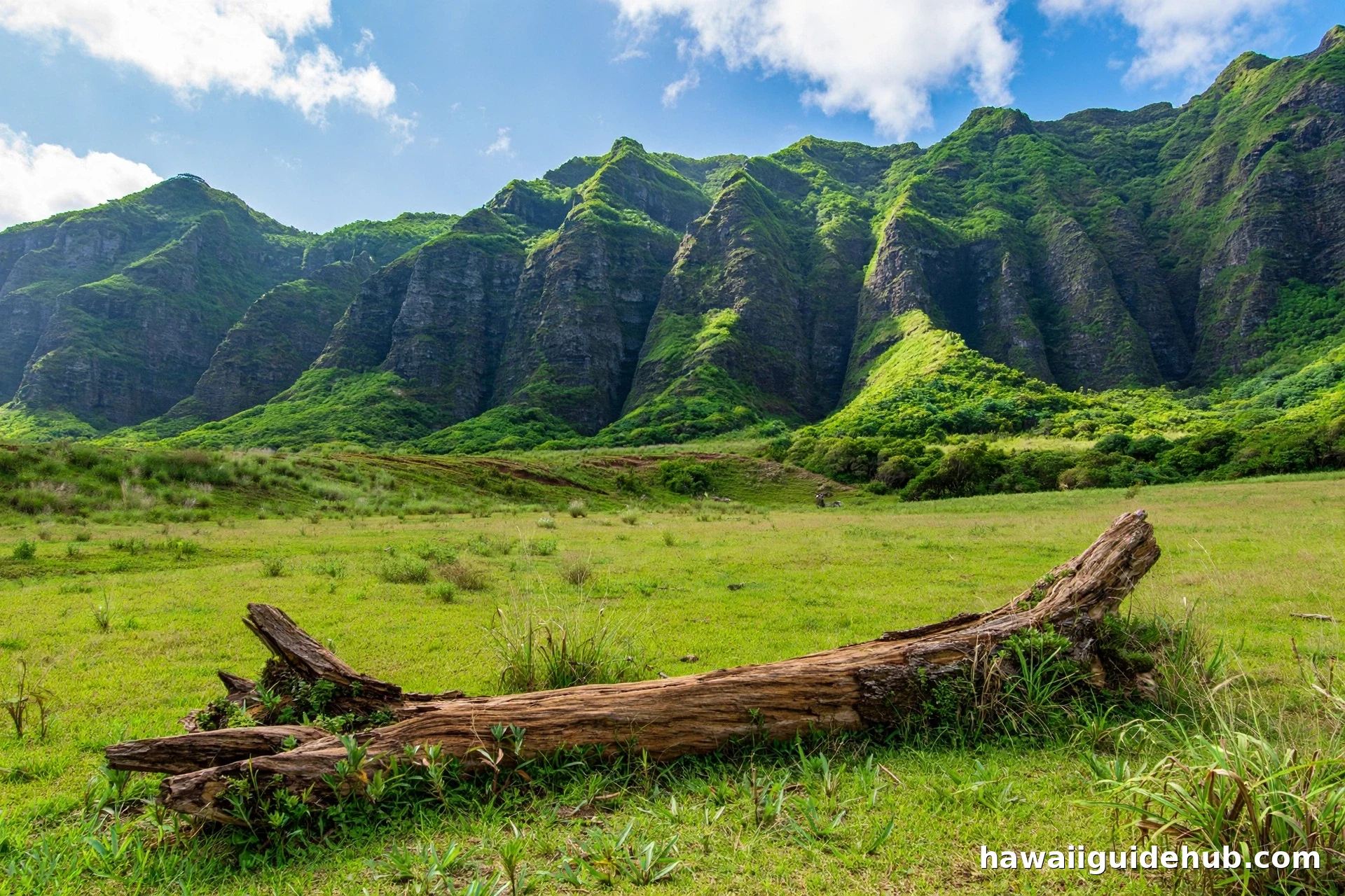 The famous fallen log in the open grassy Gallimimus field at Kualoa Ranch with steep green mountain ridges behind