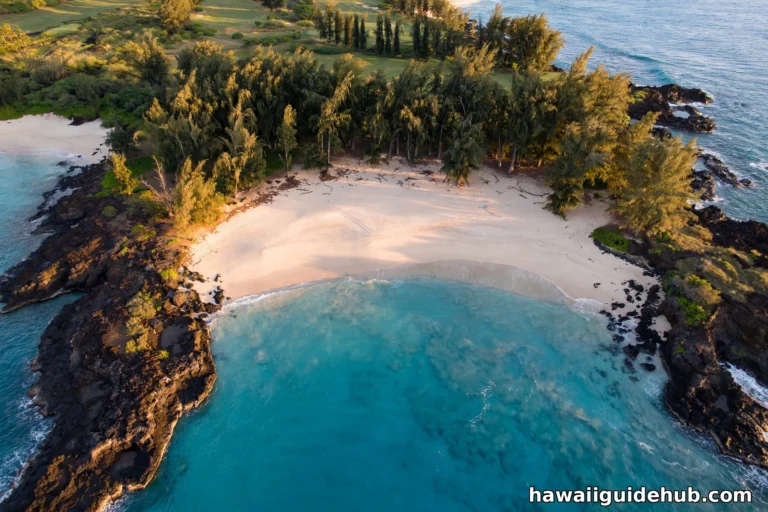Aerial view of Ironwood Beach in Kapalua, Maui with ironwood trees, white sand and turquoise water