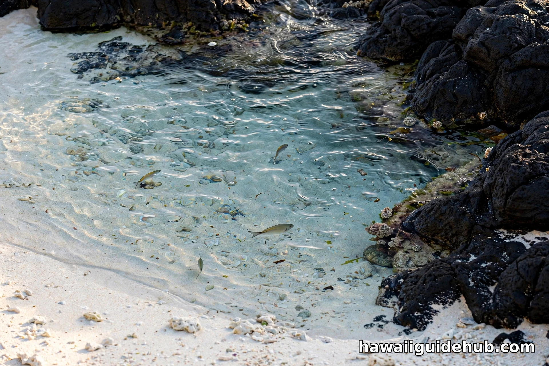 White sand beach with a shallow tidepool and black lava rock at Keʻei Beach on the Big Island's Kona coast