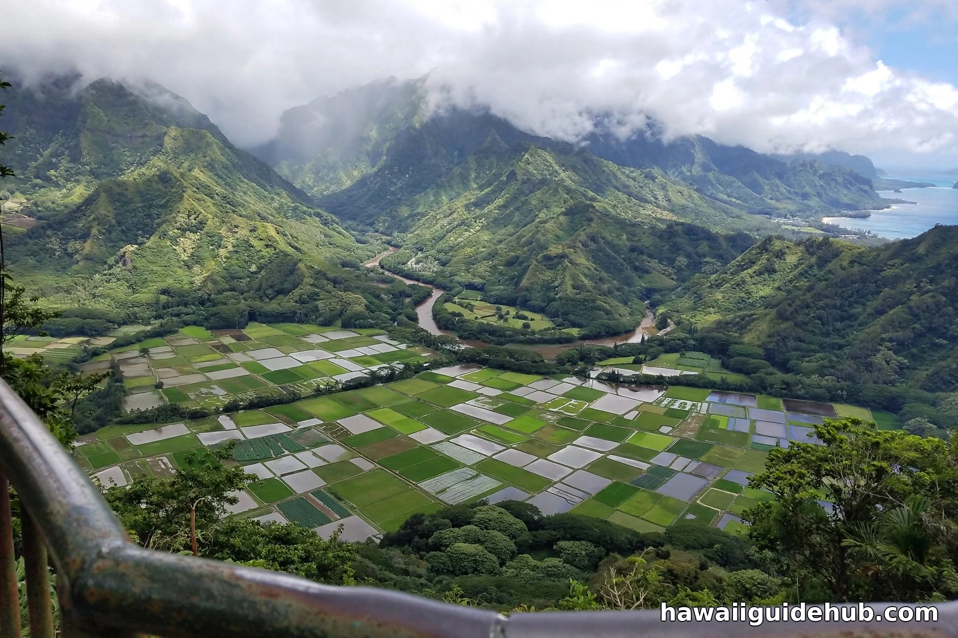 View of Hanalei Bay and taro fields from Kilohana Lookout at the end of the Alakai Swamp Trail