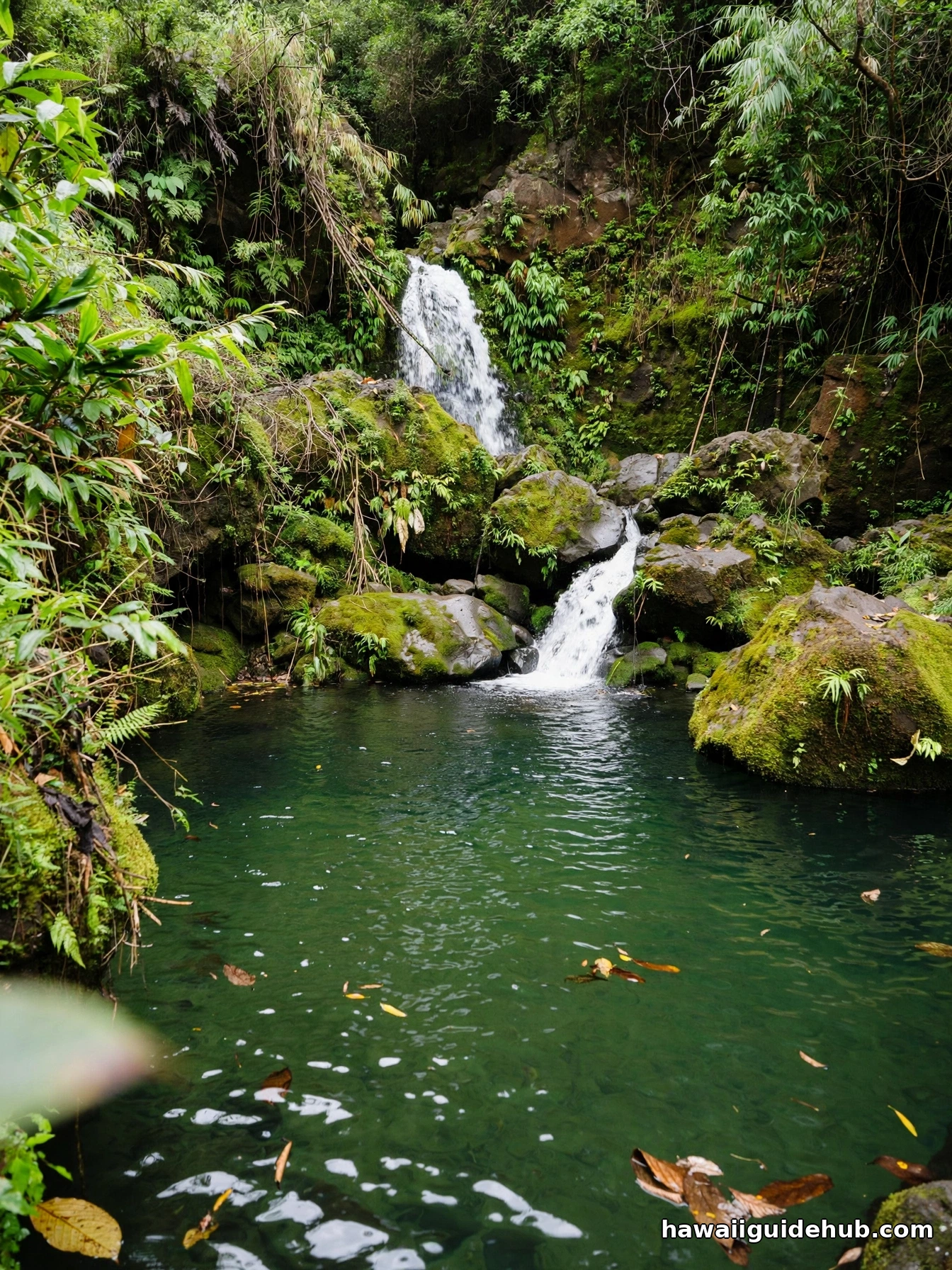 Small waterfall feeding a mossy jungle pool near Hanawi on the Hana Highway