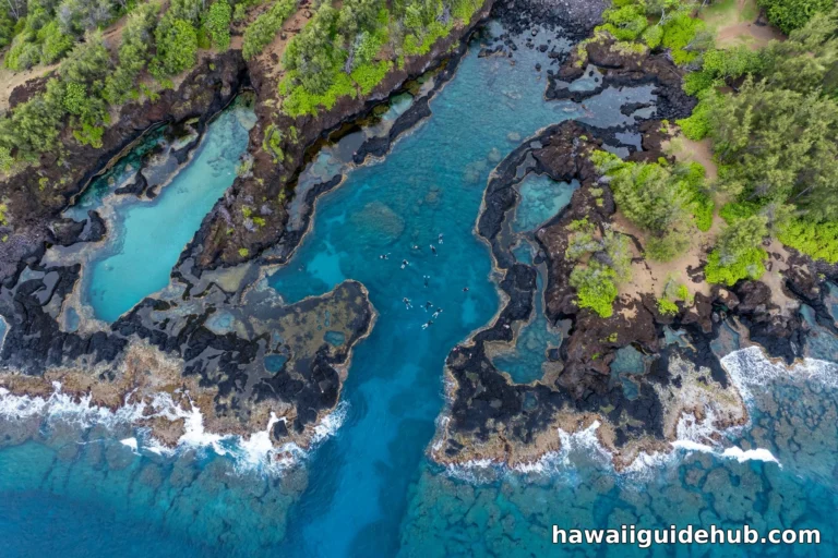 Aerial view of Shark's Cove at Pupukea Beach Park with lava rock tide pools and snorkelers in turquoise water