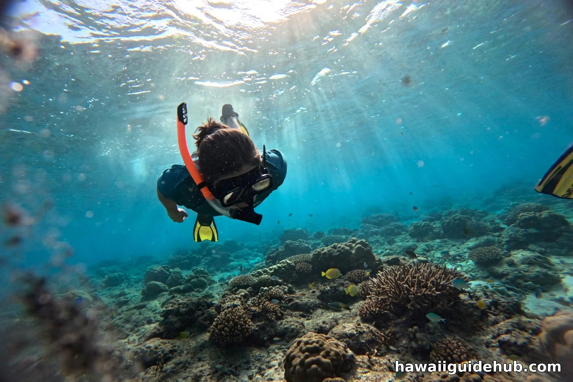 A snorkeler floating over colorful coral reef and tropical fish in Hanauma Bay, Oahu